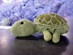 sheldon3